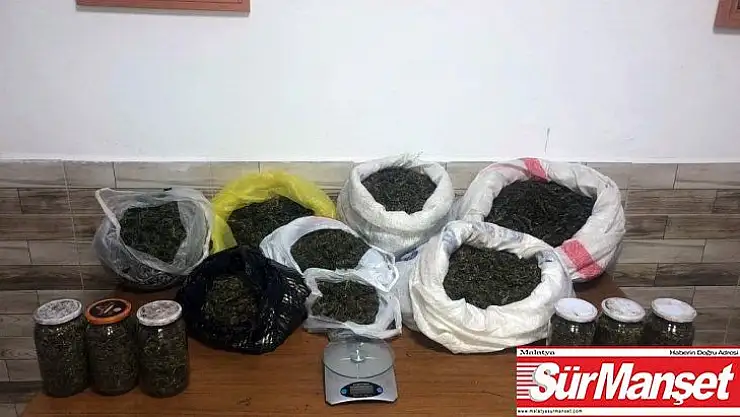 Fındıklık bahçesinde kavanoz ve bidonlara saklanmış 9 kilo esrar ele geçirildi