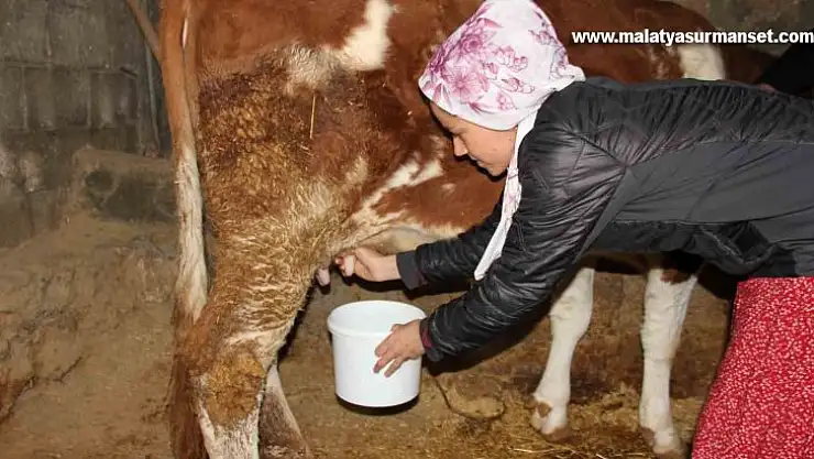 Fransız turist çift köy hayatını yaşadı