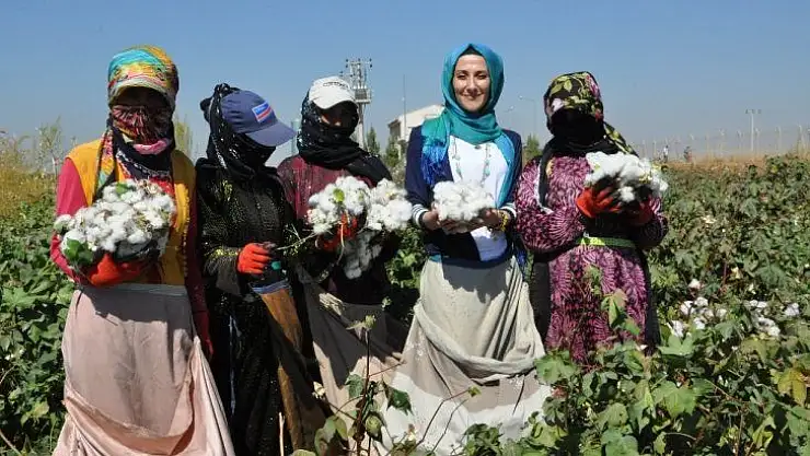 GAP'ta sulama şebekelerinin yüzde 53'ü tamamlandı