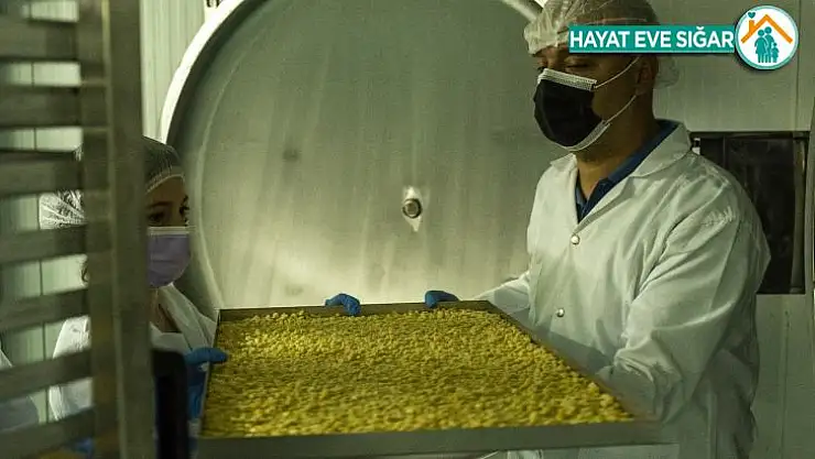 Gastronomi Şehrinin' Modern Kurutmalıkları' dünyaya ihraç ediliyor