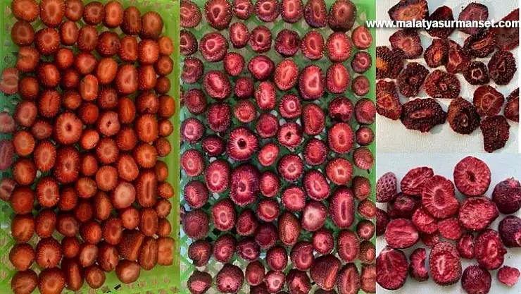 GAÜN'ün işbirliği projesiyle organik meyvelerin kalitesi artacak