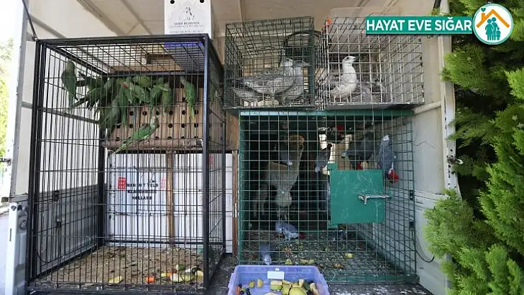 Gaziantep Hayvanat Bahçesi yeni misafirlerini ağırlamaya başladı