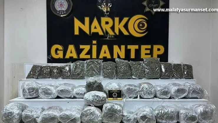 Gaziantep'te 28 kilo 400 gram skunk ele geçirildi