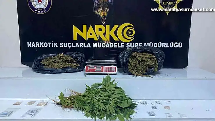 Gaziantep'te 3 kilo esrar ile 41 kök kenevir ele geçirildi