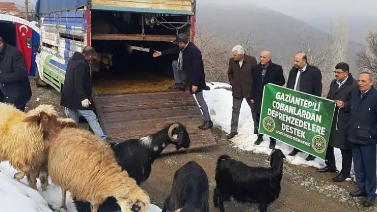 Gaziantepli çobanlardan depremzedelere anlamlı destek