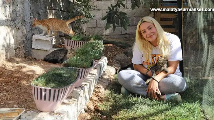 Gaziantepli hayvanseverden örnek davranış