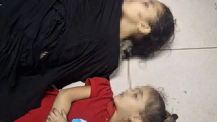 65 Bin 344 Şehit 166 Bin 795 Yaralı