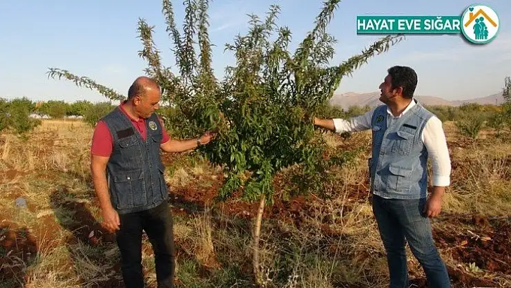 Gelir getirici ürünlerde başarı