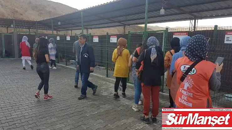 Genç TEMA üyeleri, barınaktaki hayvanları besledi