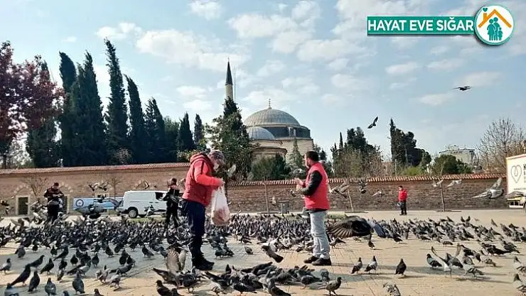 Gençlik Merkezleri sokak hayvanlarını unutmadı