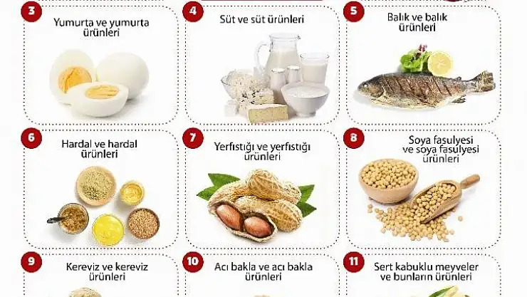 Gıdada yeni dönem