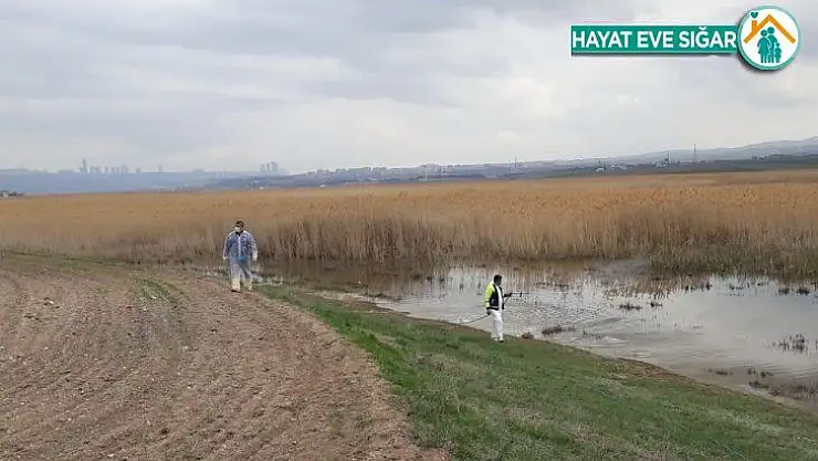 Gölbaşı Belediyesinden böceklere karşı ilaçlama