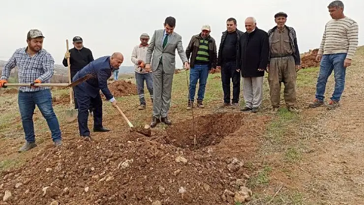 Gölbaşı ilçesinde ceviz projesi