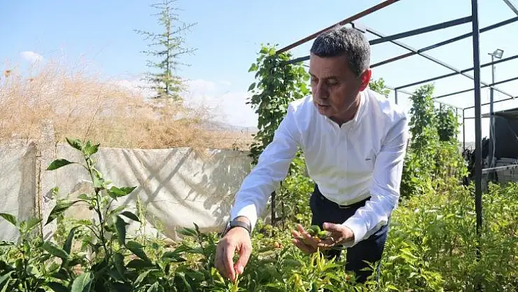 Gölbaşı Kent Çiftliği Projesi hayata geçiyor