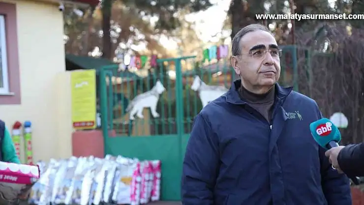 Gönüllü hayvanseverlere ayda yaklaşık 4,5 ton mama dağıtılıyor