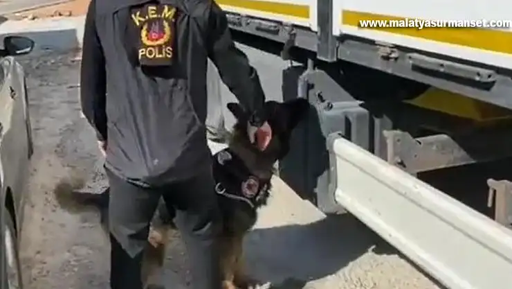 Gübre çuvallarının arasında 'kaçak sigara' sevkiyatına polis darbesi