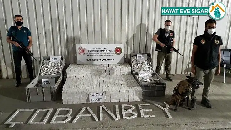 Gümrük kapılarında kaçakçılığa geçit yok