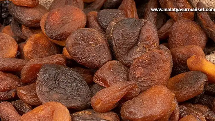 Gün kurusu kayısının kilogramı 230 liradan satıldı