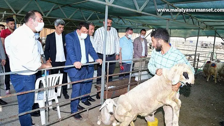 Gürkan, canlı hayvan pazarında inlcemelerde bulundu