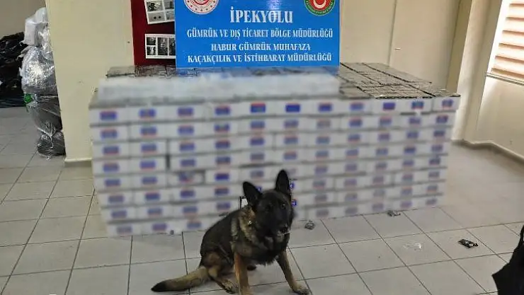 Habur Sınır Kapısı'nda 74 bin paket kaçak sigara ele geçirildi