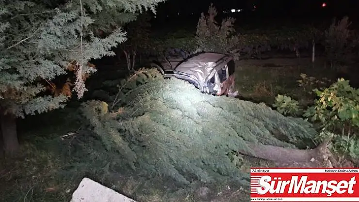 Hafif ticari araç çarptığı ağacın altında kaldı 1 ölü 1 yaralı
