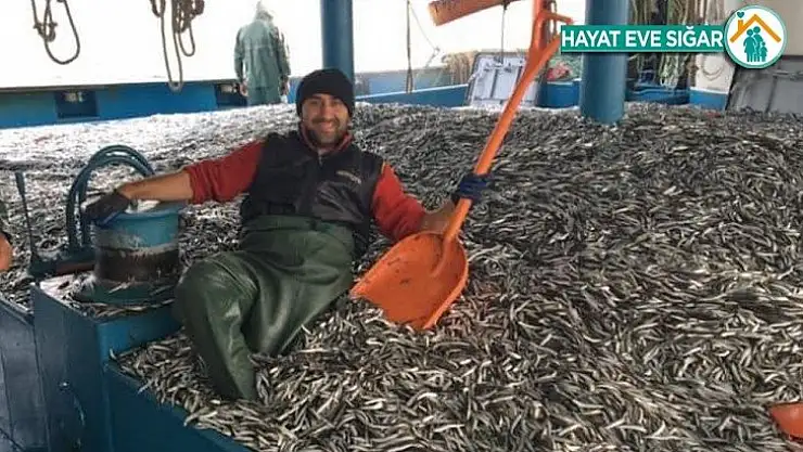Hamsi bereketi balıkçının yüzünü güldürdü