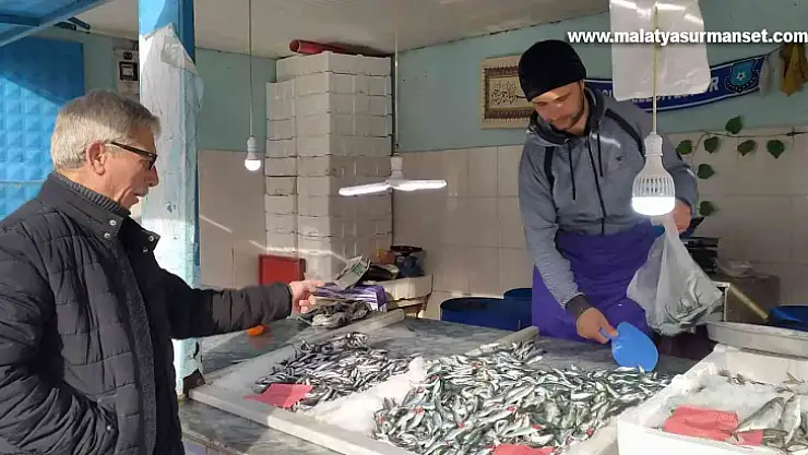 Hamsi bollaştı, fiyatı yarı yarıya düştü