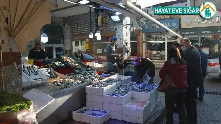 Hamsi fiyatları asansör gibi