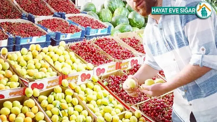 Hasadı başlayan yaş kayısı en pahalı meyve olarak dikkat çekiyor
