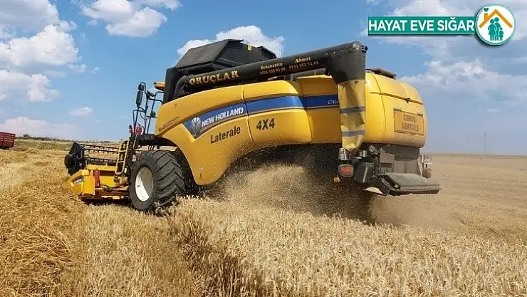 Hasat denetimleri başladı