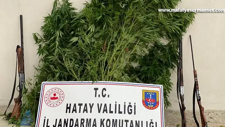 Hatay'da uyuşturucu operasyonu