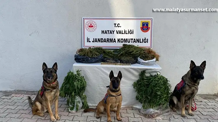 uyuşturucu operasyonunda 4 kişi gözaltına alındı