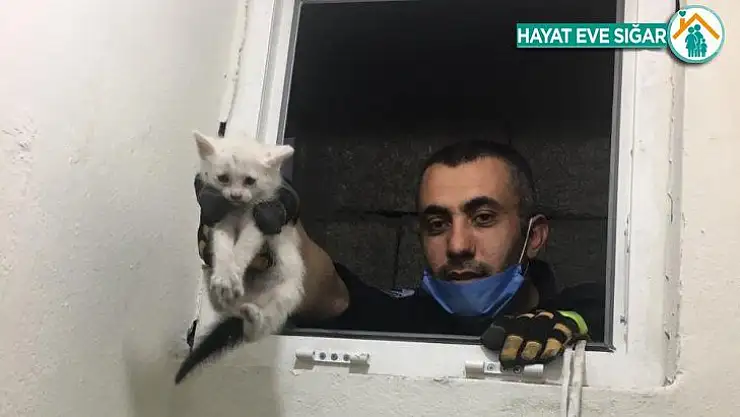Havalandırma boşluğuna düşen yavru kedi kurtarıldı