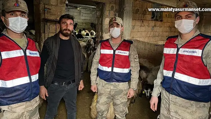Hayvan hırsızları jandarmadan kaçamadı