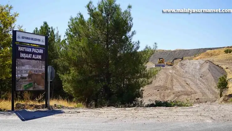 Hayvan pazarına giden yol genişletiliyor