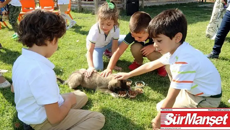 Hayvan sevgisini aşılayan örnek proje