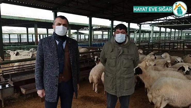 Hayvan yetiştiricilerine maske dağıtıldı