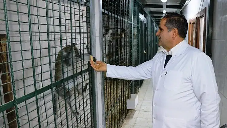 Hayvanat bahçesinde özel kış menüsü