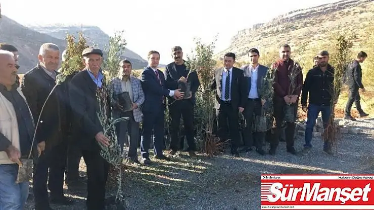 Hazro'da çiftçilere 14 bin meyve fidanı dağıtıldı
