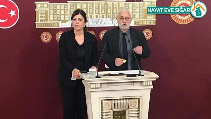 HDP'li Bektaş'tan 'Gergerliğoğlu' yorumu