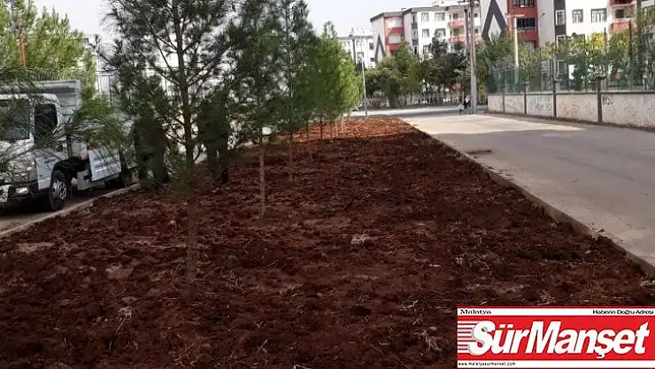 Hedef yeniden yeşil Bağlar