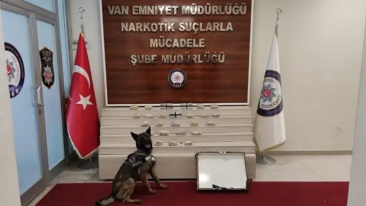 Hediyelik eşya kolisinden zehir çıktı