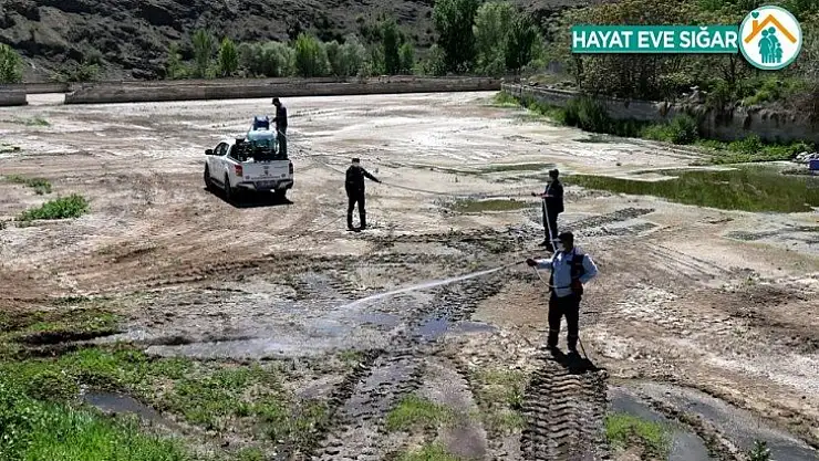 Hekimhan'da vektörel mücadelesi hız kesmiyor