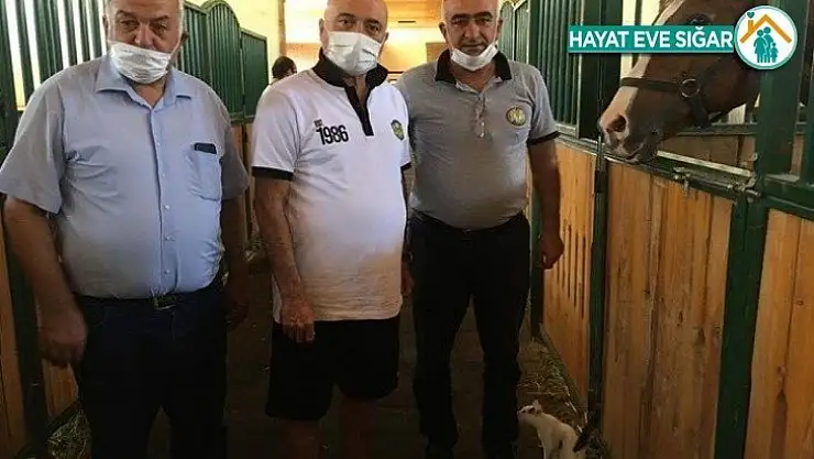 Hikmet Karaman'dan şampiyon ata ziyaret