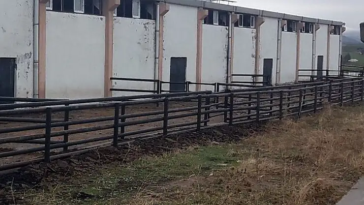 İkinci Çiftlik Bank vurgununda 5 tutuklama daha