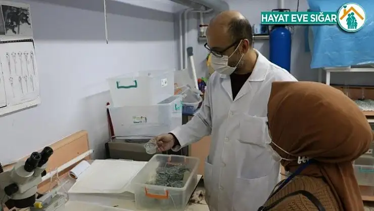 İlaçların olumsuz etkileri deney hayvanlar üzerinde araştırılıyor