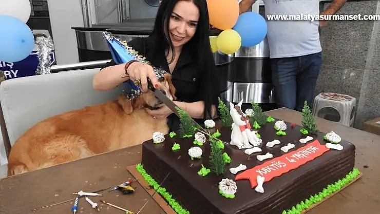 İşhanın maskotu olan köpeğe sürpriz doğum günü partisi