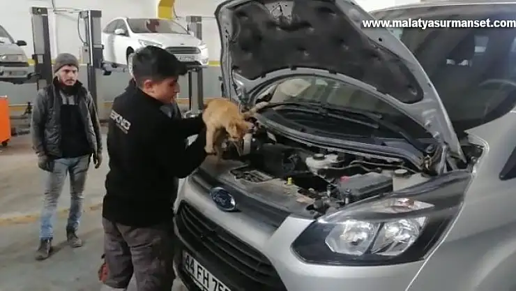 Isınmak için girdiği aracın motorundan çıkmak istemedi