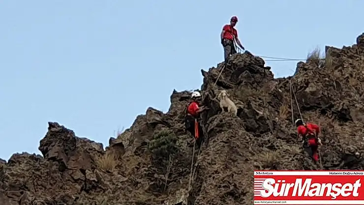 İtfaiye ve AKUT keçiyi kurtarmak için seferber oldu