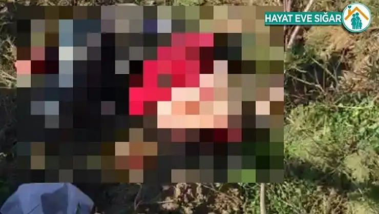 İzmir'de feci kaza: 2 ölü